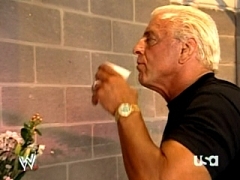 Ric Flair 5