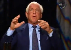Flair 7