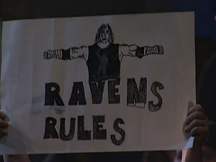 Raven - Fan