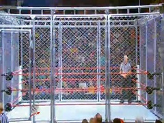 Steel Cage 4