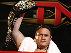 Samoa Joe