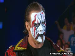Sting-24.06.11 1 5