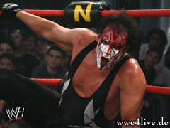 Sting4 2
