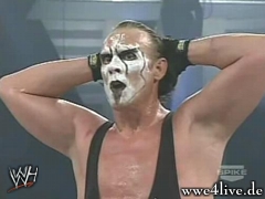 Sting8 5