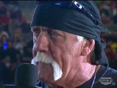 Hulk Hogan 2