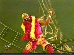 Hogan7 3