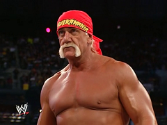 Hulk Hogan (14)