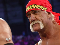 Hulk Hogan (16)