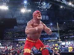 Hulk Hogan (23)