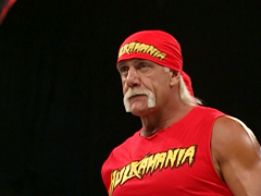 Hulk Hogan (6)