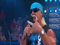 Hulk Hogan 05.04.12 3