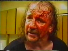 Terry Funk