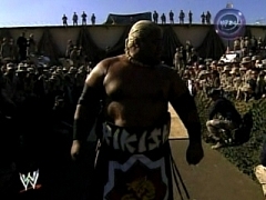 Rikishi (20)