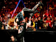 Brock Lesnar2 7