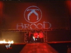 Brood7 5