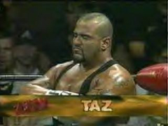 Tazz 30 - 40