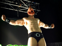 Sheamus13