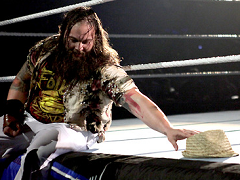 Bray Wyatt (17)