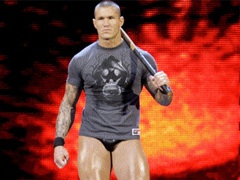 Randy Orton baseball bat