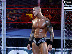 RKO (Hell in a cell)