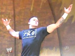 Orton11 4