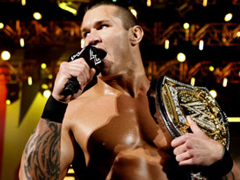 ORTON RAW BELT