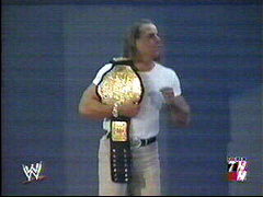 HBK BELT!!!