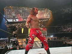 Shawn Michaels (16)