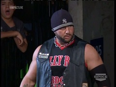 Bully Ray 4