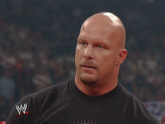 Steve Austin (16)