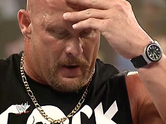 Steve Austin (29)