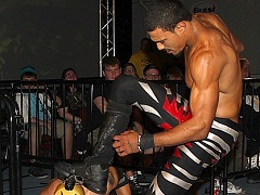 AR Fox 10