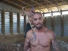 Briscoe Brothers 9