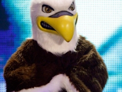 eagle01
