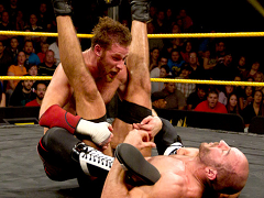 Sami Zayn (20)