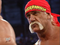 Hulk Hogan (15)