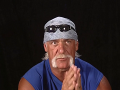 Hulk Hogan (2)