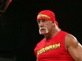 Hulk Hogan (5)