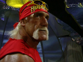 Hulk Hogan (7)