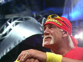 Hulk Hogan (8)