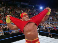 Hulk Hogan (9)